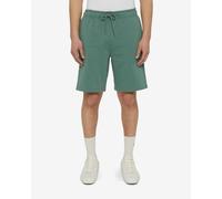Dickies Mapleton Shorts Green S Men