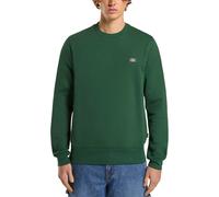 Dickies - Men's casual sweatshirt - Oakport Sweatshirt Pine Needle Green for Men - Size XL Green XL