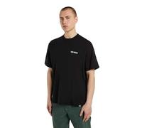 Dickies Men's Back Graphic Burns T-Shirt, Black, L
