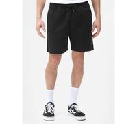 Dickies Pelican Rapids Shorts black XL