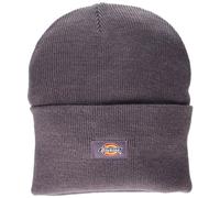 Dickies Men's Cuffed Knit Beanie, Purple, One Size
