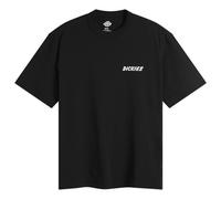 Dickies Men's Dry Ridge T-Shirt Black Small