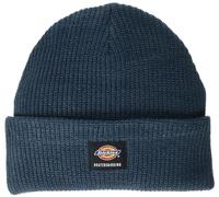 Dickies Men's Skateboarding Cuffed Beanie Baseball Cap, Blue, One Size