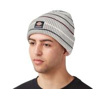 Dickies Men's Skateboarding Cuffed Beanie Hat, Grey, One Size