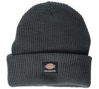 Dickies Men's Skateboarding Cuffed Beanie Hat, Grey, One Size