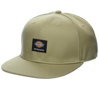 Dickies Men's Skateboarding Flat Bill Cap, Beige, One Size