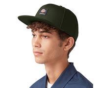Dickies Men's Skateboarding Flat Bill Snapback Hat, Green, One Size