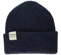Dickies Men's Thick Knit Beanie Hat, Blue, One Size