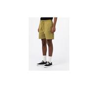 Dickies Pelican Rapids Shorts Green Moss - XXL