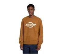 Dickies Sweater RUSTON SWEATER BROWN DUCK in Brown EU M