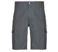 Dickies Shorts MILLERVILLE SHORT in Grey US 32