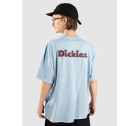 Dickies Slayden Gd T-Shirt glacier lake M