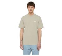 Dickies Summerdale Short Sleeve T-shirt Beige XL Men