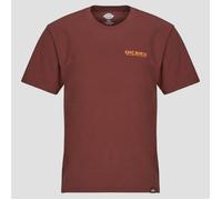 Dickies T shirt BURNS TEE SS ANDORRA in Bordeaux EU M