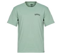 Dickies T shirt DICKIES SNAKE SS TEE in Green EU XL
