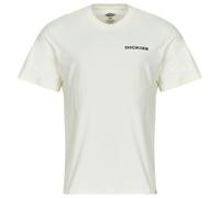 Dickies T shirt LANDASCAPE SS TEE in White EU M