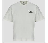 Dickies T shirt SNEEDVILLE TEE SS EGRET in White EU M