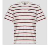 Dickies T shirt YORK STRIPE TEE SS EGRET in White EU XL