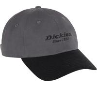 Dickies Unisex Twill Dad Hat Cap