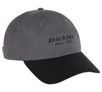 Dickies, Unisex, Twill DAD HAT, Graphite, OS