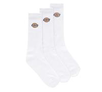 Dickies Valley Grove Socks White