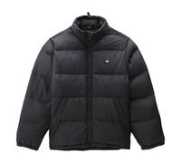 Dickies Waldenburg Winter Jacket Black