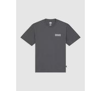 Dickies WOLFHURST T-SHIRT T-Shirt charcoal XXL