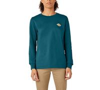 Dickies Plus Size Women’s Long Sleeve Heavyweight Graphic T-Shirt, Blue, 2X