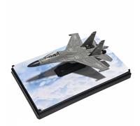 Dickly Alloy Aircraft Fighter Jet Model Die-Cast Plane With Acrylic Display Case Suitable For Office Desk Home Shelf Decor, Gray