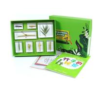 Dickly Children Learning Biology Study Kit with Resin Sample Blocks Tray Box Cards and Learning Sheets Organized Suitable for, Array, Bamboo S Secret
