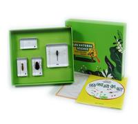 Dickly Children Learning Biology Study Kit with Resin Sample Blocks Tray Box Cards and Learning Sheets Organized Suitable for, Array, Dragonfly Growth Story