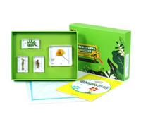 Dickly Children Learning Biology Study Kit with Resin Sample Blocks Tray Box Cards and Learning Sheets Organized Suitable for, Array, Plant Body