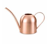 Dickly Metal Watering Can Stainless Watering Vessel Narrow Spout Precision Pouring Pot Compact 500ml Capacity Body Comfortable Grip Handle Suitable For Office Plants Balcony Garden, Rose Gold, 500ML