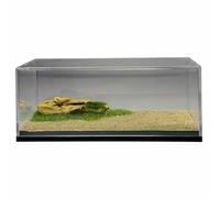 Dickly Miniature Terrain Display Diorama Display Box Model Container Artistic Transparent Material Suitable for Vehicle Collection Home Decoration Shelf Storage Office Desk