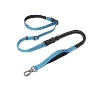 Dickly Reflective Leash All Purpose Dog Leash Hands Waist Leash Bungee Shock Absorbing Adjustable Traffic with Clip Suitable for jogging hiking city walks, Sky Blue, Width 2cm, Length 145-240cm