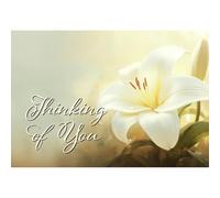 Dicksons 3 x 2 inch Inspirational Sympathy Thinking of You Greeting Card with Envelope - Elegant White Easter Lily Flower Watercolor Art Print Note Card Christian Thank You Greeting Card