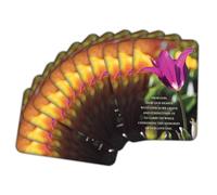 Dicksons Inspirational Christian Pocketcard Bookmark, Handout Cards for Bereavement 2.5 x 3.75 Inch Paper Heal Our Hearts as We Greive Pack of 12