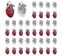 DICOSMETIC 60Pcs Alloy Red Heart Charms 2 Colors Anatomical Heart Charms 3D Heart Organ Charms Tibetan Style Human Anatomy Pendants for Biology Medical Nurse Jewelry Making, Hole: 2.5mm