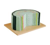 Dicotyledonous Plant Stem Cross-Section Anatomy Magnified Model for Biology Teaching Aids