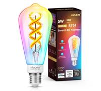 DiCUNO Smart Bulb Vintage Filament LED ST64, 5W Dimmable Edison Screw E27 Light, 450LM, Squirrel Cage, 2700-6500K, No Hub Required, Compatible with Alexa, Google Home, 1 Pcs