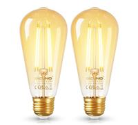 DiCUNO Vintage Light Bulb E27 Edison Screw Bulb ST58, 2.5W Equivalent to 40W, Energy Efficiency Class B Filament Glass LED, Warm White 2700K, 480LM, Non-dimmable, 2 Pcs