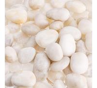 Dicunoy 6 lbs White Decorative Stones for Plant Pots, 1-2 Inch Natural Polished Pebbles for Garden, Smooth Decorative River Rocks for Landscaping, Vase Filler, Aquarium, Fireplace Bottom, Terrarium
