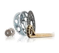 DID Chain kit: Chain and sprockets Gold-coloured chain