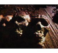 Did God Create Evil?