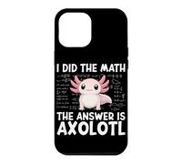 Did The Math The Answer Is Axolotl Math Calculus Formula Case for iPhone 12 Pro Max