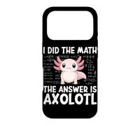 Did The Math The Answer Is Axolotl Math Calculus Formula Case for iPhone 17 Pro