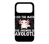Did The Math The Answer Is Axolotl Math Calculus Formula Case for iPhone 17 Pro Max