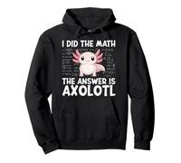 Did The Math The Answer Is Axolotl Math Calculus Formula Pullover Hoodie
