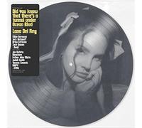Did You Know That There's A Tunnel Under Ocean Blvd - Ltd Picture Disc [VINYL]