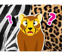 Did You See Cheetah's Pattern?